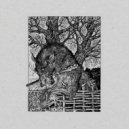 Deft - Scalp