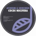 Atchoum & Grincheux - Salut Fred (Original Mix)