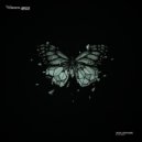 Zooloomusic - In The Night