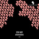 Stiv Hey - Transitions
