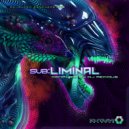 Pitchriders - Catnip Divinorum (Original mix)