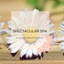 Serenity Calls - Commune With Nature (New Age Spa Relaxation)