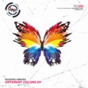 Rogerio Ribeiro - Different Colors
