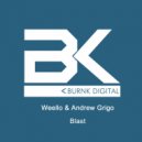 Weello & Andrew Grigo - Blast (Original Mix)
