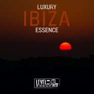 Simone Bica - Burnout