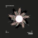 Deep Technicians - Brighter Days (Original Mix)