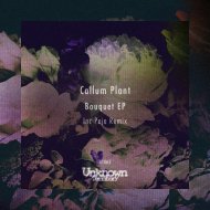 Callum Plant - Snapdragon