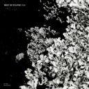 Leonardo (NL), Amber (NL) - Acid (Tom Laws Remix)