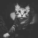 Catoff - Baby don`t stop