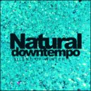 The Diventa Project - Endless Melody (Original Mix)