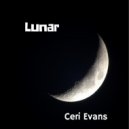 Ceri Evans - Gwyn Teg Teg Gwyn