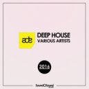 Summit DJs - Tenehaha (Original Mix)