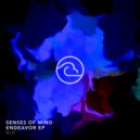 Senses Of Mind - Hold On