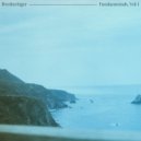 Brothertiger - Bottom Turn (Original mix)
