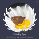 Padmakshi Devi - The Cosmic Ambient (Original Mix)