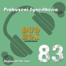 Probuzeni Synesthesia - Wasser Bitte