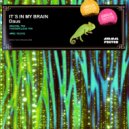 Daus  - Its in My Brain