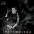 Stereoptera - Light My Fire (Vinyl Edit)