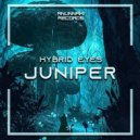 Hybrid Eyes - Juniper