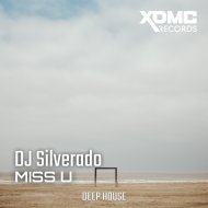 DJ Silverado - Miss U