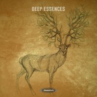 Simplex Sensus - Hidden Beats