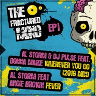 Al Storm & DJ Pulse feat Donna-Marie - Wherever You Go