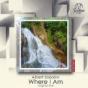 Albert Sokolov - Where I Am