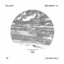 Zalem - Travel (Original Mix)