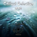Flight of The Falcon - Aurora (Original Mix)