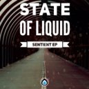 State of Liquid - Jump