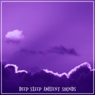 Mr. Chillout - Awakening Lotus