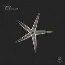 Larix - Time Shifting