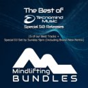 In The Moonlight - Eurydice (The Sixth Sense Remix)