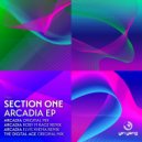 Section One - The Digital Age