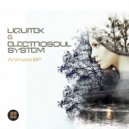 Liquitek & Electrosoul System - Space Frog (Original Mix)