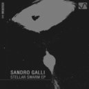 Sandro Galli - Deploy (Original Mix)