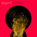 First Of The Last - Let Love Burn (Original Mix)