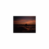 Mindfulness Healing Bgm Project - Freesia and Healing