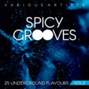 Samuele Furlotti - Dooinit (Original Mix)