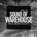 John V - Chromosome (Original Mix)