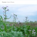Plesiada - Every Evening (Original Mix)