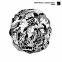Twins Project, Marco Ginelli - Launch