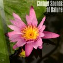 De Lobo - That Reggae Sound (Original Mix)
