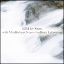 Mindfulness Neuro Feedback Laboratory - Breathing & Peace of Mind