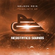 Nelson Reis - Guitars