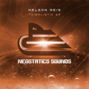Nelson Reis - Guitars