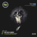 MYNE - Black Bird