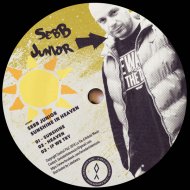 Sebb Junior - If We Try