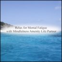 Mindfulness Amenity Life Partner - Fog & Mental Stability (Original Mix)