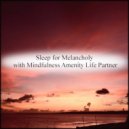 Mindfulness Amenity Life Partner - Overall & Safety